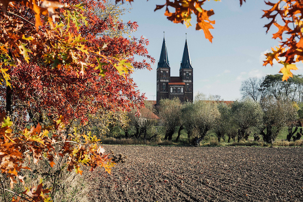 Herbst