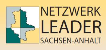 Netzwerk Leader